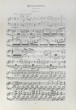 Музыка в XIX веке инструментальная и вокальная