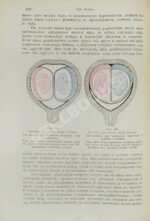 Бумм, Э. Руководство к изучению акушерства в двадцати восьми лекциях