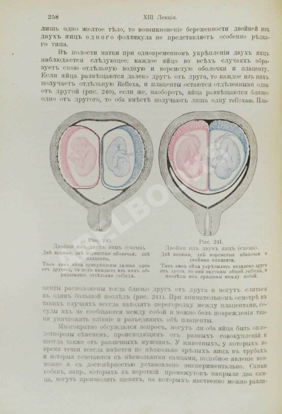 Антикварная книга Бумм, Э. Руководство к изучению акушерства в двадцати восьми лекциях