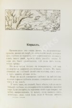 Эвальд, К. Сказки природы для юных и взрослых читателей