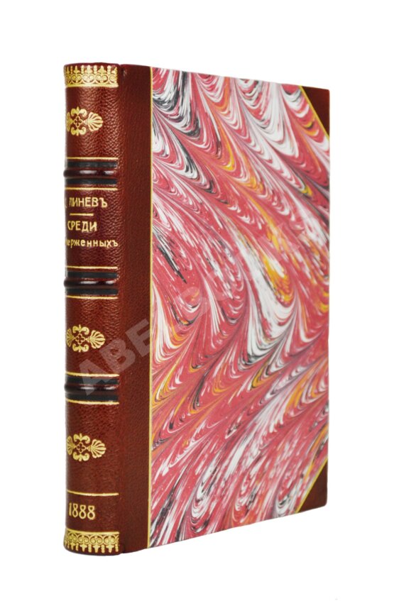 Антикварная книга Линёв, Д.А. Среди отверженных Антикварная книга Линёв, Д.А. Среди отверженных