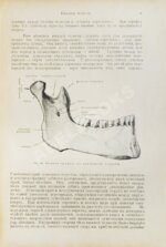 Euler, H., Port, G. Руководство по зубоврачеванию