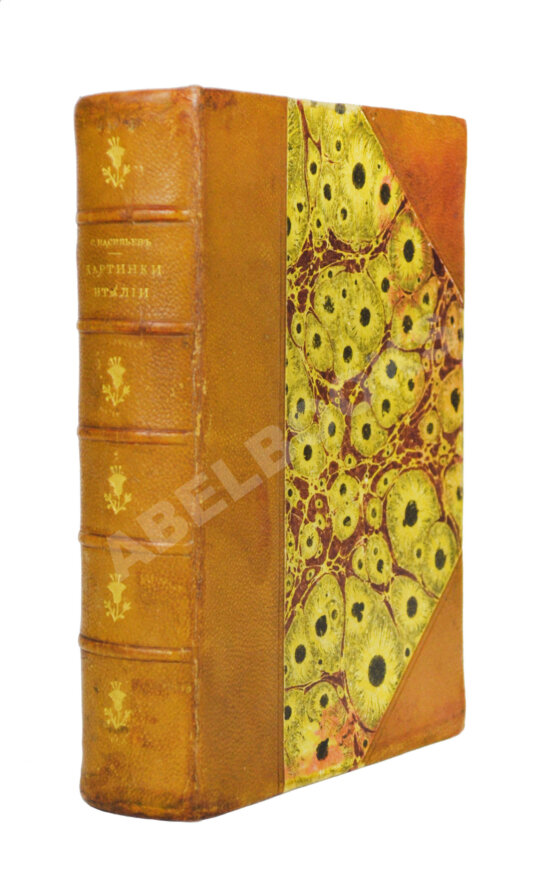 Антикварная книга Васильев, С. Картинки Италии. Письма из Рима и Флоренции
