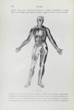 Скворцов, И.П. Гигиена, с включением анатомии, физиологии и патологии человеческого тела