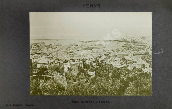 Антикварная книга Филиппов, С.Н. Ривьера