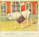 Сандомирский, М.Б. Железная дорога В. Дурова