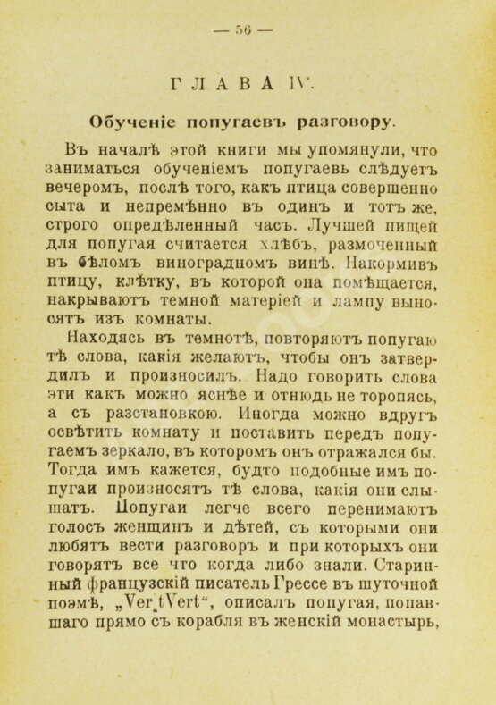 Антикварная книга Попугай Антикварная книга Попугай