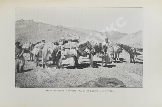 Антикварная книга Хедин, С. Тарим-Лоб-Нор. Тибет