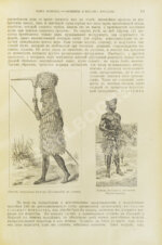 Швейгер-Лерхенфельд, А.Ф. фон. Книга природы и человеческой культуры