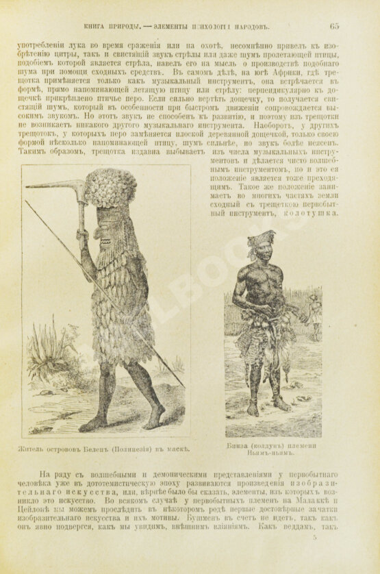 Антикварная книга Швейгер-Лерхенфельд, А.Ф. фон. Книга природы и человеческой культуры Антикварная книга Швейгер-Лерхенфельд, А.Ф. фон. Книга природы и человеческой культуры