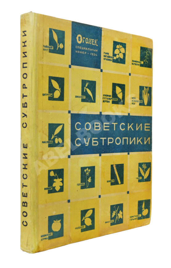 Антикварная книга Советские субтропики