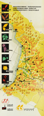 Советские субтропики