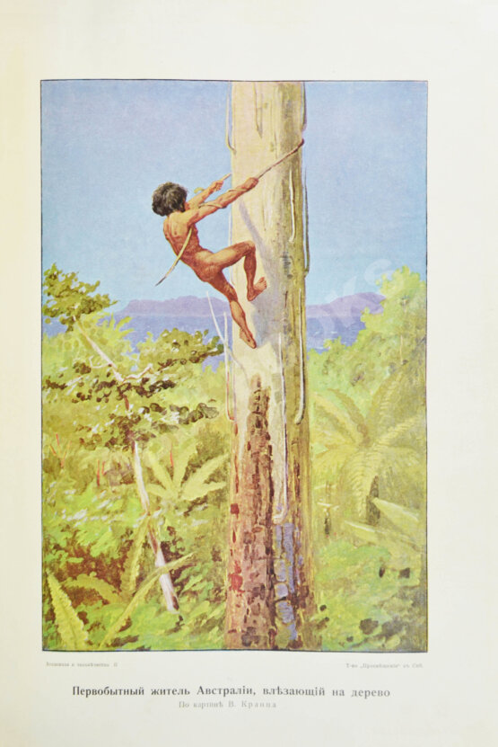 Антикварная книга Вселенная и человечество под ред. Г. Кремера, пер. с нем. А.С. Догеля Антикварная книга Вселенная и человечество под ред. Г. Кремера, пер. с нем. А.С. Догеля