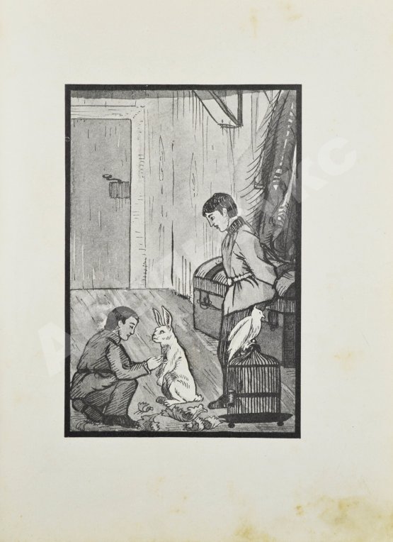 Антикварная книга Андреевская, В.П. Красное солнышко