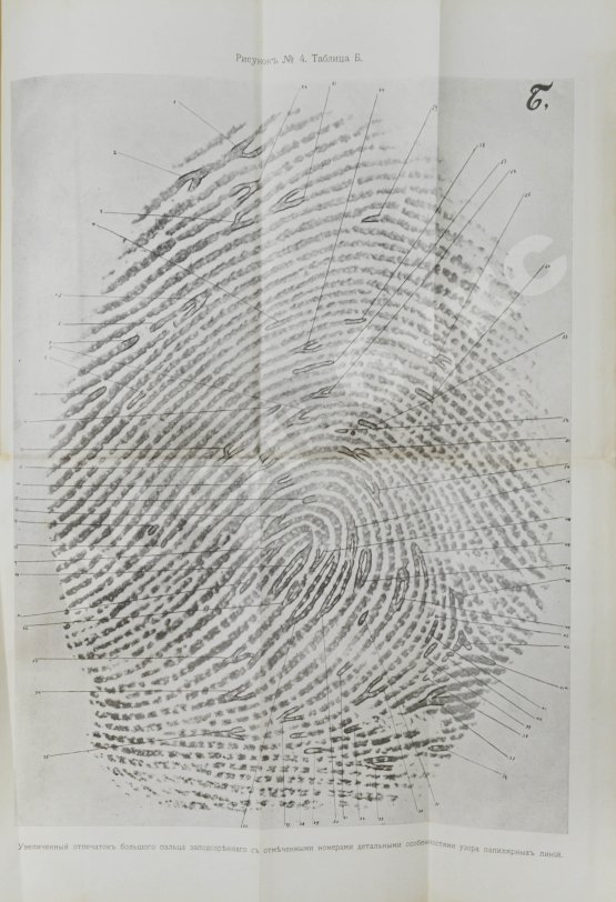 Антикварная книга Рейсс, Р.А. Научная техника расследования преступлений