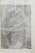 Рейсс, Р.А. Научная техника расследования преступлений