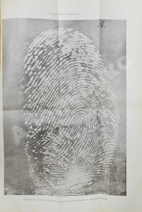 Антикварная книга Рейсс, Р.А. Научная техника расследования преступлений