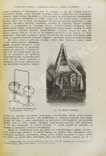 Жук, В.Н. Мать и дитя