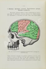 Сикорский, И.А. [автограф] Начатки психологии