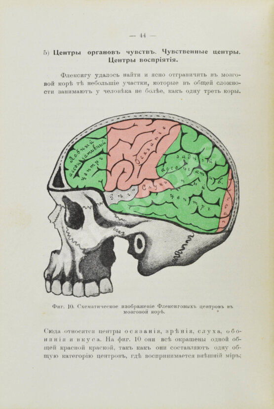 Антикварная книга Сикорский, И.А. [автограф] Начатки психологии