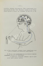 Сикорский, И.А. [автограф] Начатки психологии