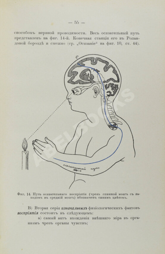 Антикварная книга Сикорский, И.А. [автограф] Начатки психологии
