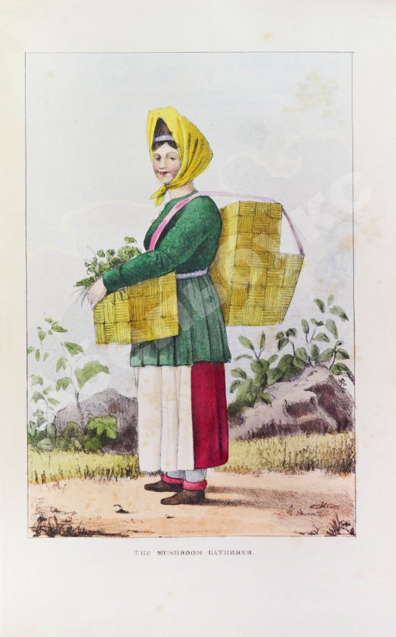 Антикварная книга Пинкертон, Р. Россия, или Разнообразные наблюдения за прошлым и настоящим состоянием страны и её жителей