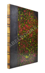 Абаза, В.А. История Армении