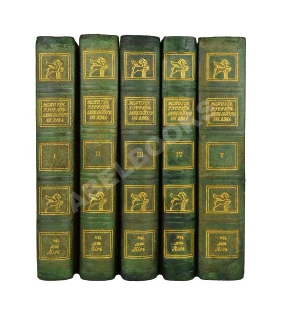 Антикварная книга История русской литературы XIX века