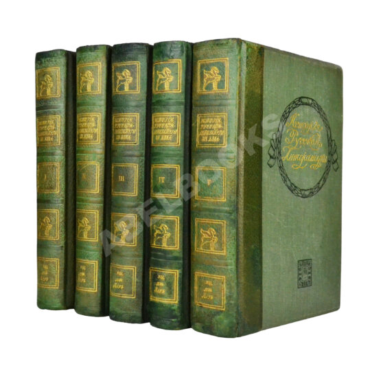 Антикварная книга История русской литературы XIX века