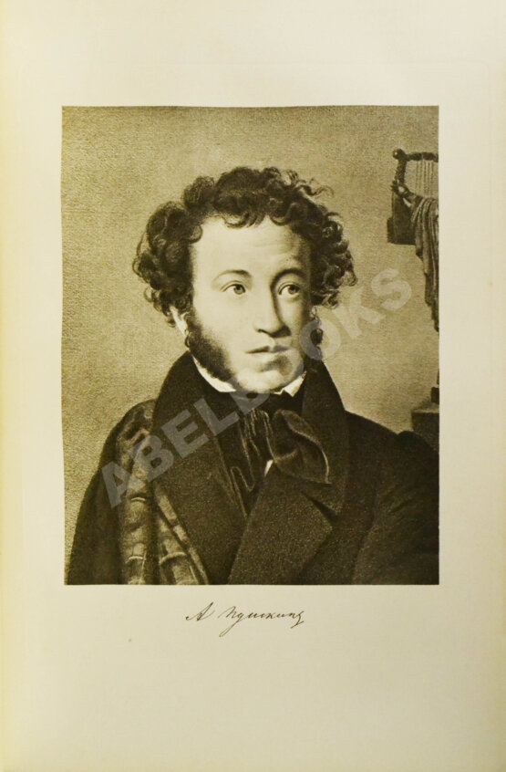 Антикварная книга История русской литературы XIX века