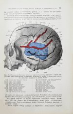Tillaux, P. Руководство к топографической анатомии в применении к хирургии