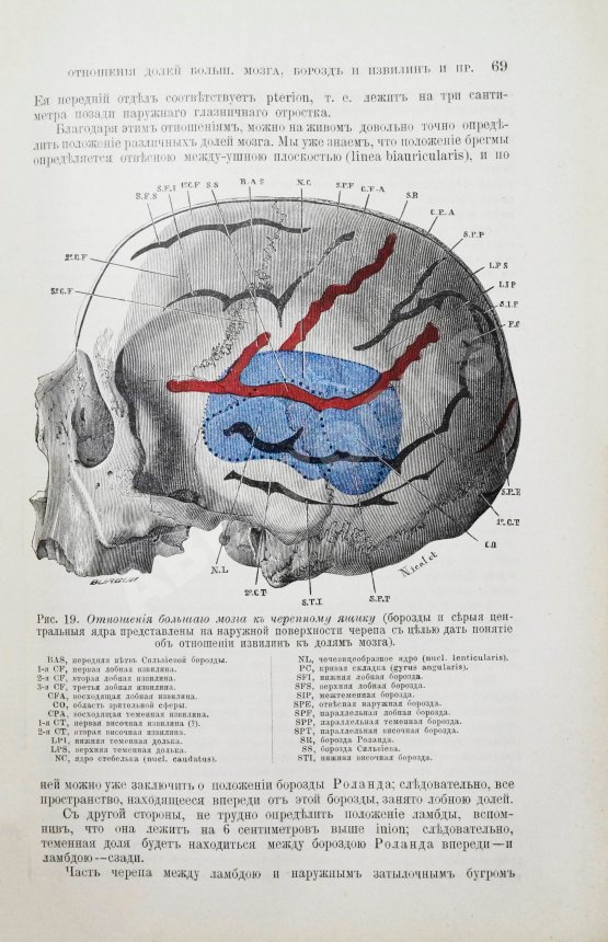 Антикварная книга Tillaux, P. Руководство к топографической анатомии в применении к хирургии