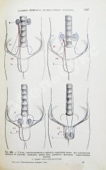 Tillaux, P. Руководство к топографической анатомии в применении к хирургии