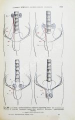 Tillaux, P. Руководство к топографической анатомии в применении к хирургии