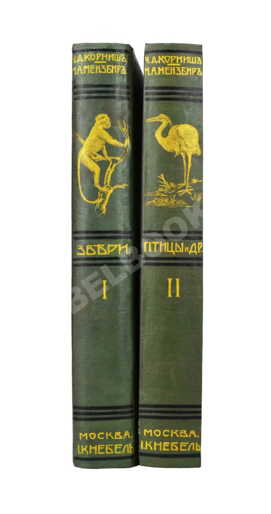 Антикварная книга Корниш, Ч.Д. Жизнь животных в фотографиях с натуры. Общедоступная зоология