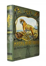 Корниш, Ч.Д. Жизнь животных в фотографиях с натуры. Общедоступная зоология