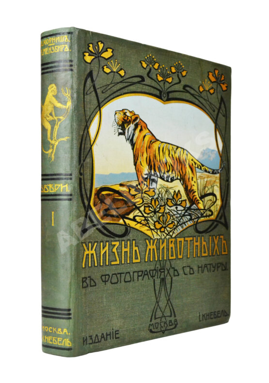 Антикварная книга Корниш, Ч.Д. Жизнь животных в фотографиях с натуры. Общедоступная зоология