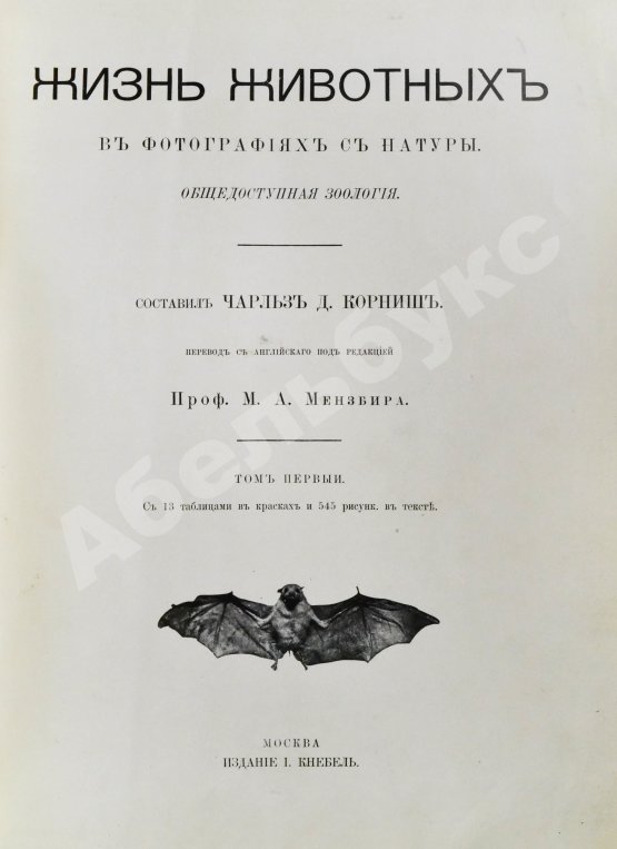 Антикварная книга Корниш, Ч.Д. Жизнь животных в фотографиях с натуры. Общедоступная зоология