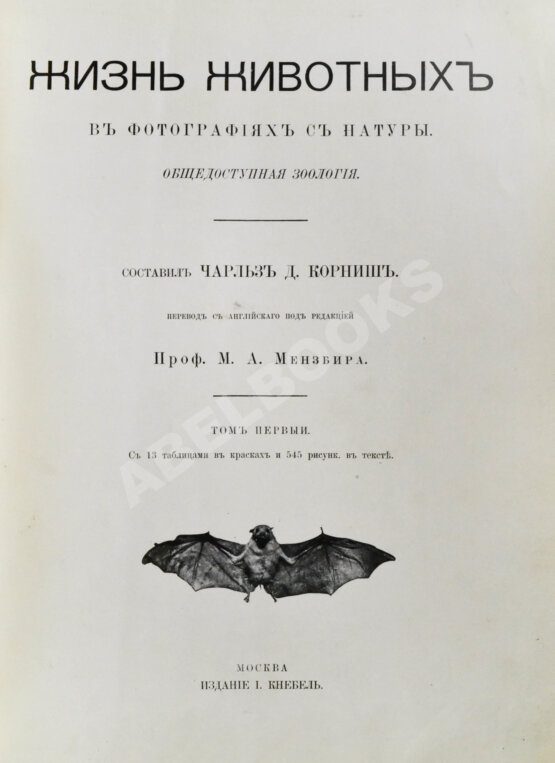 Антикварная книга Корниш, Ч.Д. Жизнь животных в фотографиях с натуры. Общедоступная зоология