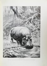Корниш, Ч.Д. Жизнь животных в фотографиях с натуры. Общедоступная зоология