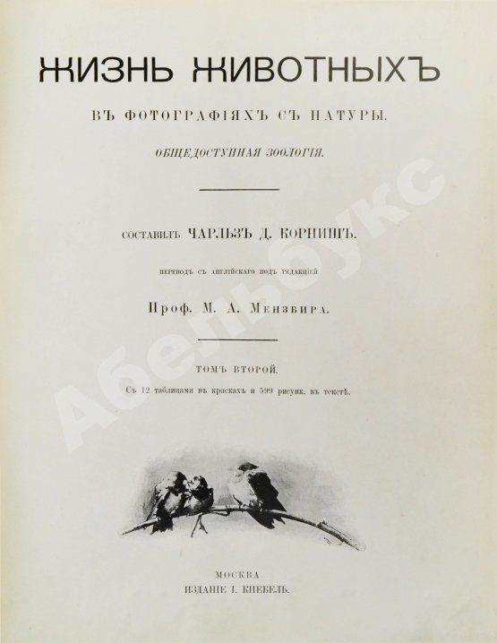 Антикварная книга Корниш, Ч.Д. Жизнь животных в фотографиях с натуры. Общедоступная зоология