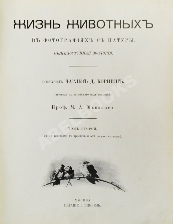 Антикварная книга Корниш, Ч.Д. Жизнь животных в фотографиях с натуры. Общедоступная зоология