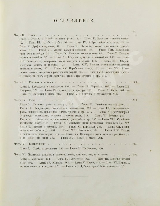 Антикварная книга Корниш, Ч.Д. Жизнь животных в фотографиях с натуры. Общедоступная зоология