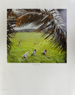 Китай. Фотоальбом