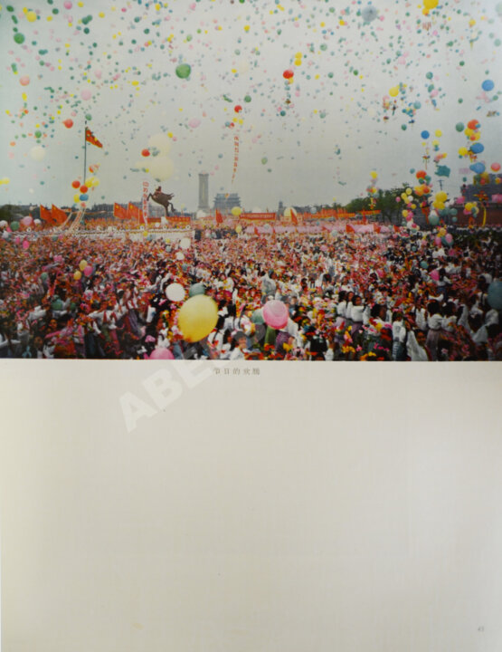 Антикварная книга Китай. Фотоальбом