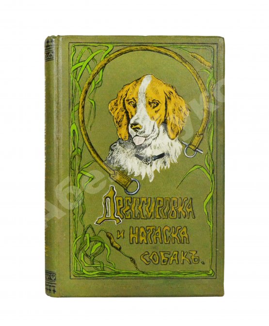 Антикварная книга Оберлендер, Г. Дрессировка и натаска подружейных собак