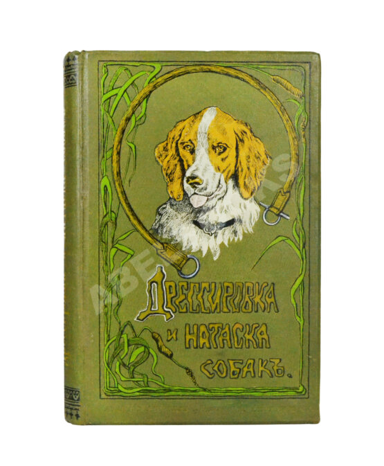 Антикварная книга Оберлендер, Г. Дрессировка и натаска подружейных собак