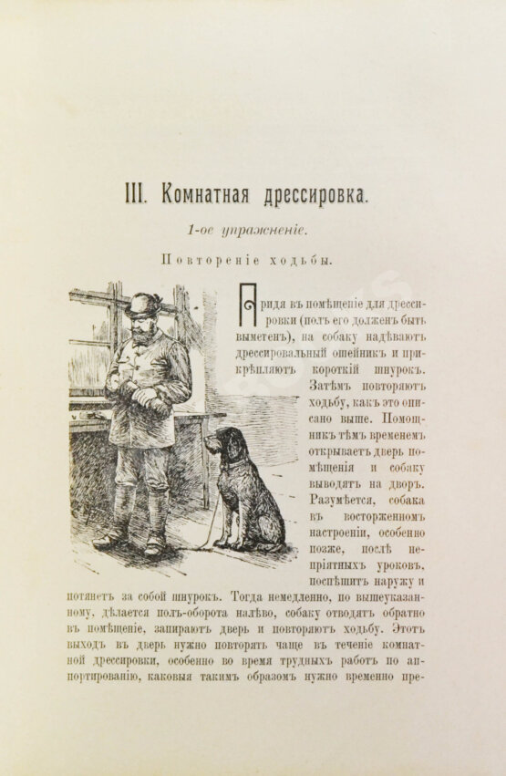 Антикварная книга Оберлендер, Г. Дрессировка и натаска подружейных собак