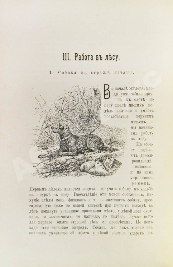 Антикварная книга Оберлендер, Г. Дрессировка и натаска подружейных собак